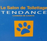 le salon toilettage tendance